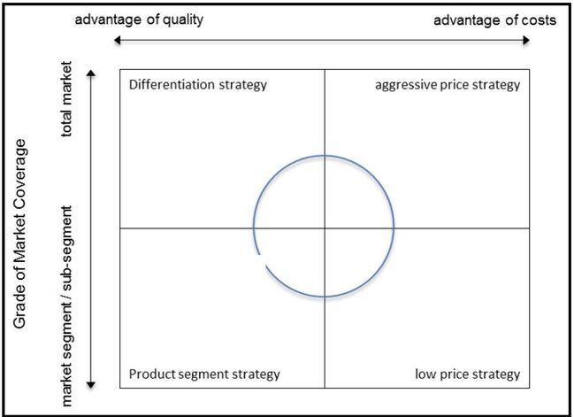 Competitive strategy and market positioning